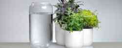 Tableau Plant Waterer
