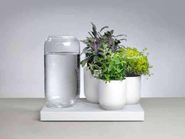 Tableau Plant Waterer