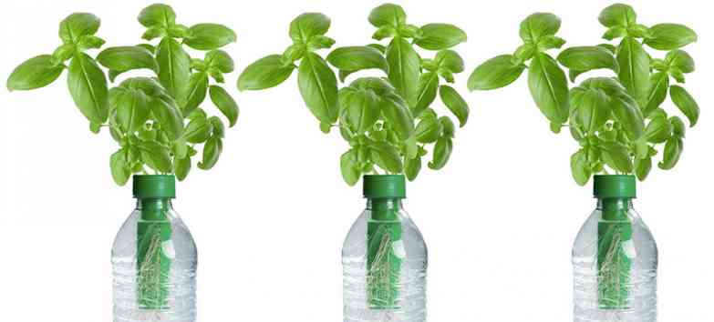 Seed: the Smartest Bottle Ever