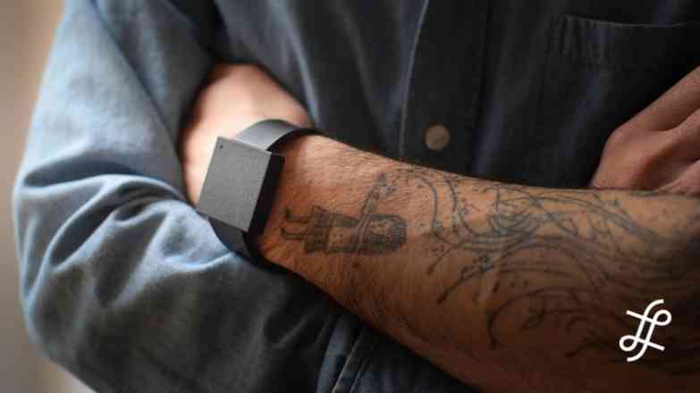 Read more about the article The Basslet