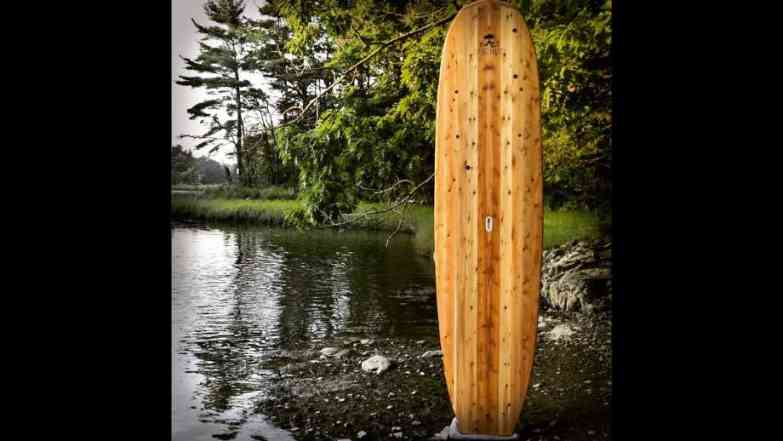 Read more about the article Tidal Roots standup paddleboard SUP